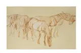 Untitled by Jo Taylor, print (other), offered Jun 2021
