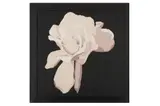 Untitled by Chantal de Gaudio, acrylic, offered Jun 2021