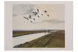 Untitled by Gee Vaucher, lithograph, offered Jun 2021
