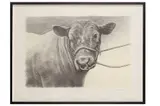 Untitled by Angus McDONALD, print, offered Jun 2021