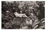Untitled by Édouard Boubat, pencil, offered Jun 2021