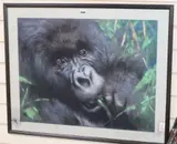 Study of a gorilla by Joel Kirk, pastel, sold Aug 2019