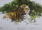 Including 'Study for Tiger by David Shepherd, print (other), sold Aug 2019