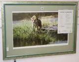 The Bandipur Tiger by David Shepherd, print, sold Aug 2019
