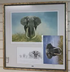 Ahmed' and 'Ahmed by David Shepherd, print (other), sold Aug 2019