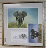Ahmed' and 'Ahmed by David Shepherd, print (other), sold Aug 2019