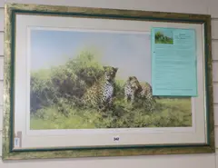 Leopards by David Shepherd, print, sold Aug 2019