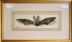 A Bat by Alfred Edward Chalon, sold Aug 2012