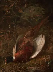 Pheasant Amongst Bracken by David Gauld, oil on canvas, sold Aug 2012