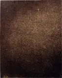 Sans titre by Pierre Janssen, Photographie de la surface solaire, sold Jun 2011