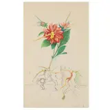 Dahlia Unicornis by Salvador Dalí, Photolithograph with engraving and pochoir, sold Oct 2022