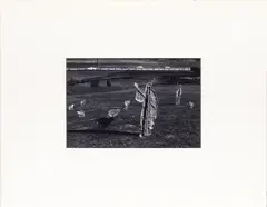 Colma by Gordon Bennett, gelatin silver print, sold Sep 2025