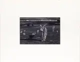 Colma by Gordon Bennett, gelatin silver print, sold Sep 2025
