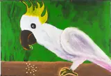 Untitled by Senita Napangardi Granites, oil on canvas, sold Sep 2025