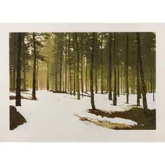 First Flight by Stephen McMillan, 1981, lithograph in colors, sold Sep 2025