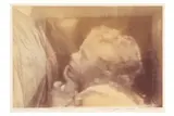 Untitled by Julia Margaret Cameron, print, offered May 2021