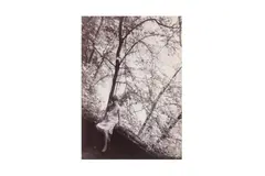 Untitled by Guglielmo Plüschow, print, offered May 2021
