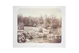 Untitled by Alphonse Françoise Jeanrenaud, print, offered May 2021