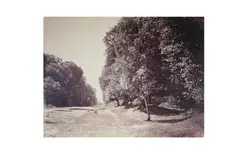 Untitled by Gustave Le Gray, print, offered May 2021