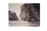 Untitled by Gustave Le Gray, print, offered May 2021