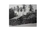 Untitled by Manuel Álvarez Bravo, Silver gelatin print, image size, offered May 2021