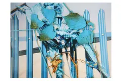 Untitled by Stephen Gill, Chromogenic print, image size, offered May 2021