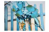 Untitled by Stephen Gill, Chromogenic print, image size, offered May 2021