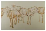 Untitled by Jo Taylor, print (other), offered May 2021