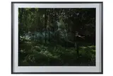 Untitled by Toby Burrows, Chromogenic print, on Hahnemuhe fine art baryta paper, image size, offered May 2021