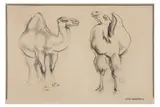 R.a. (1901-1980) by John Skeaping, charcoal, offered Apr 2021