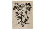 Untitled by Percy Kelly, etching, offered Apr 2021