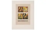 R.a. (b. 1932) by Peter Blake, screenprint, offered Apr 2021