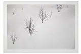 Untitled by Abbas Kiarostami, print on paper, offered Apr 2021