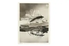 Untitled by Heinz Hajek-Halke, print, offered Apr 2021