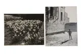 Untitled by Margaret Harker, Silver gelatin prints, offered Apr 2021