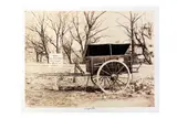 Untitled by Alfred Saint-Ange Briquet, print, offered Apr 2021
