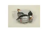 Untitled by Archibald Thorburn, watercolour, offered Mar 2021