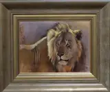 Study of a lion by Kim Donaldson, oil on canvas, sold Apr 2019