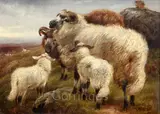 Untitled by Robert Watson, 1882, oil, sold Mar 2019