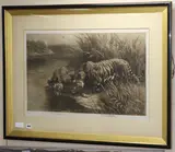 Tigers at the river edge by Herbert Dicksee, etching and aquatint, sold Feb 2019