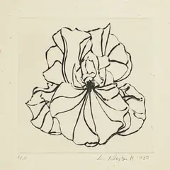 Untitled (Iris) by Lowell Nesbitt, 1980, etching, sold Oct 2022