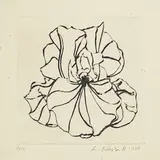 Untitled (Iris) by Lowell Nesbitt, 1980, etching, sold Oct 2022