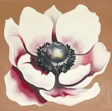White and Pink Anemone by Lowell Nesbitt, 1979, oil on canvas (unstretched), sold Nov 2022