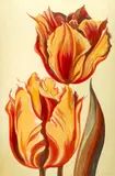 Untitled (Tulips) by Lowell Nesbitt, gouache over offset lithograph, sold Nov 2022