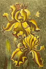 Untitled (Iris) by Lowell Nesbitt, 1989, gouache over offset lithograph, sold Nov 2022