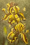Untitled (Iris) by Lowell Nesbitt, 1989, gouache over offset lithograph, sold Nov 2022