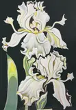 Untitled (Irises) by Lowell Nesbitt, 1976, gouache over offset lithograph, sold Nov 2022