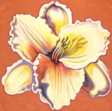 Yellow Day Lily by Lowell Nesbitt, 1983, oil on canvas (unstretched), sold Dec 2022
