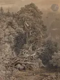 Paysage de montagne aux troncs d’arbre emmêlés by Friedrich Salathé, 1847, Plume, encre de Chine et lavis brun, légères traces d’aquarelle bleue, sold Nov 2022
