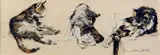 Trois études de chat by Pierre Letellier, Gouache, sold May 2012